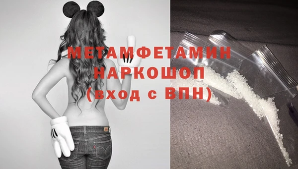хмурый Верея